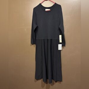 Eliza J Classic Black Long Sleeve Dress